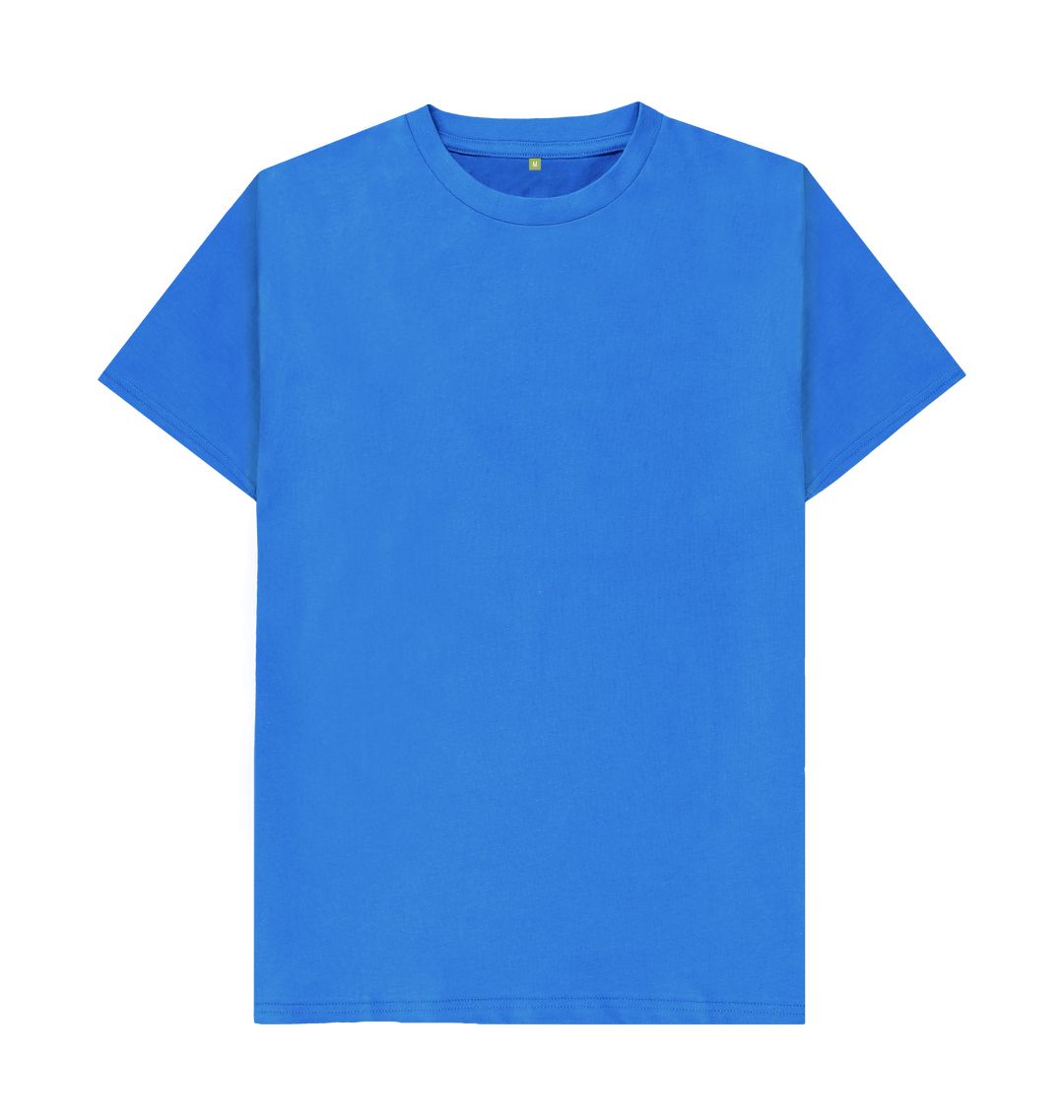 Bright Blue Simple Stuff fitted tee